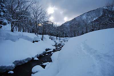 大源太川には、まだまだ雪がいっぱいです。