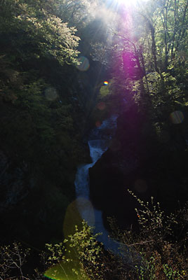 四十八滝も朝日をあびてきれいでした。