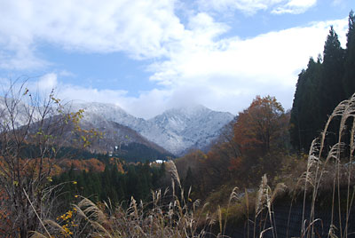 雪を羽織った大源太山がきれいです。