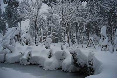 庭木も雪で真っ白です。