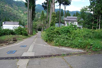 草刈り前の道路です。