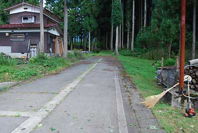 道路にたまった杉の葉っぱを片付けました。