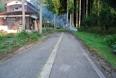 杉の葉っぱが乾いている内に焼却出来ました。