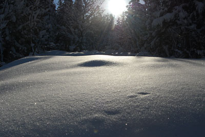 朝陽に雪原の結晶がキラキラ輝いてきれいでした。