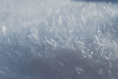 雪の上に出来た氷の結晶です。