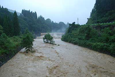 大源太川の水量も凄いことになっていました。