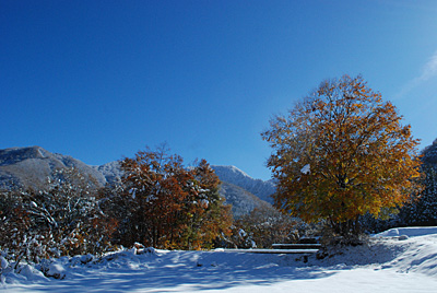 雪と青空、そして紅葉、雪景色最高です！