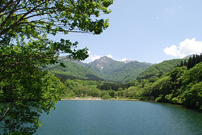 大源太湖の新緑がまぶしい！