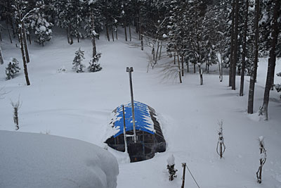 ハウスが、また雪で埋まってしまいました。