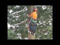 枝打ち（木登り器とチェンソーで）の動画へ