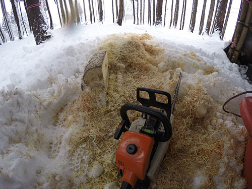 雪に埋めて固定してチェンソーで材を刻みました。