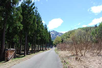 空気が澄んで大源太山がよく見えました。