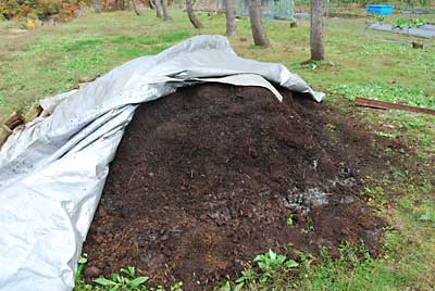 追肥には、もーちゃん堆肥（完熟牛糞）を使います。