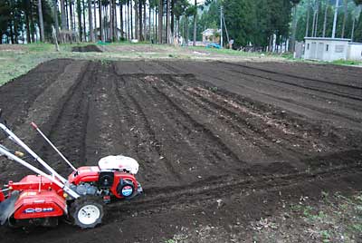完熟牛糞堆肥を追肥してから畝間をポチで除草しました。
