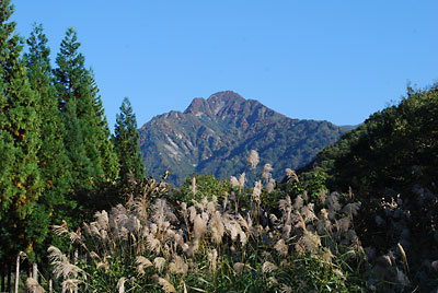 大源太山の山頂付近の紅葉が始まりました。