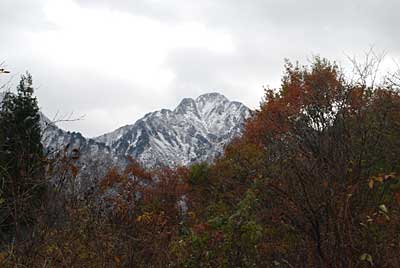 昨夜から今朝にかけて大源太山には雪が降りました。
