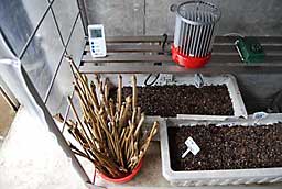 促成栽培の実験ハウスの温度は１０度にセット