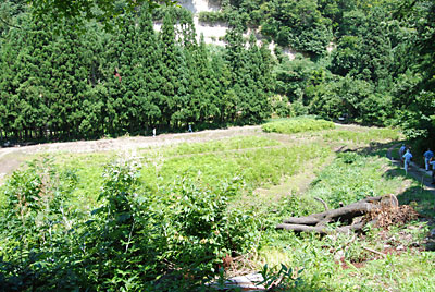 阿賀町津川の地区全員で取り組んでいるワラビ栽培の現場の視察です。