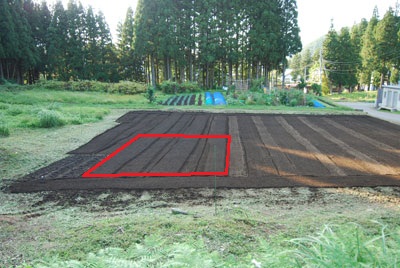 赤い枠の部分に養成畑を作ろうと思っています。