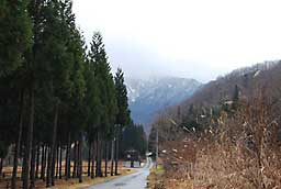 寒いとおもったら大源太山には雪が降ったようです