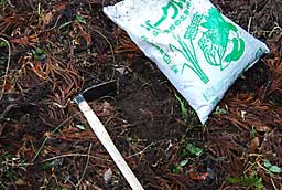 穴を掘ってバーク堆肥を入れてから植付ます